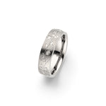 Amelia Jewels 01-001 in Titan – Damenring