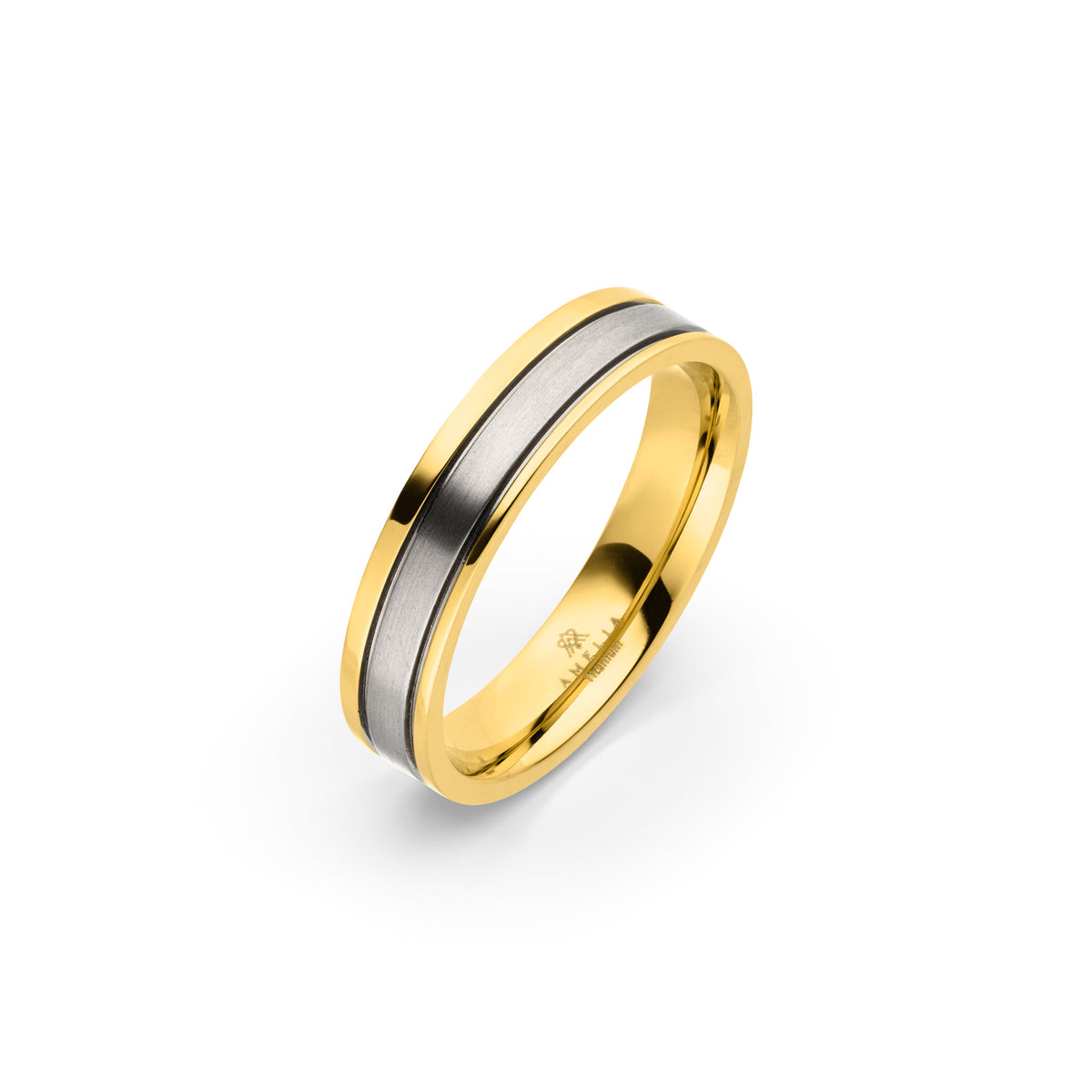 Amelia Jewels 01-003 in Titan – Herrenring