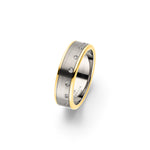 Amelia Jewels 01-005 in Titan – Damenring mit Diamantbesatz